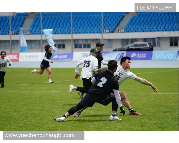 南京飞盘队实力引发热议球迷与专家观点大相径庭